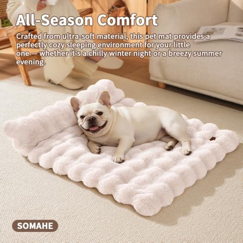 SOMAHE Cat Bed and Small Dog Bed Mat, Raised Pillow, 27 x 20 Inch, White