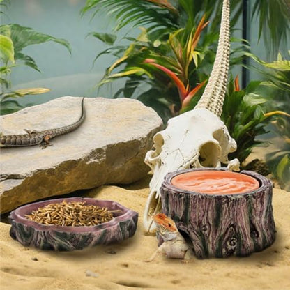 Reptile Hide Cave with Detachable Base, Humidity Dish