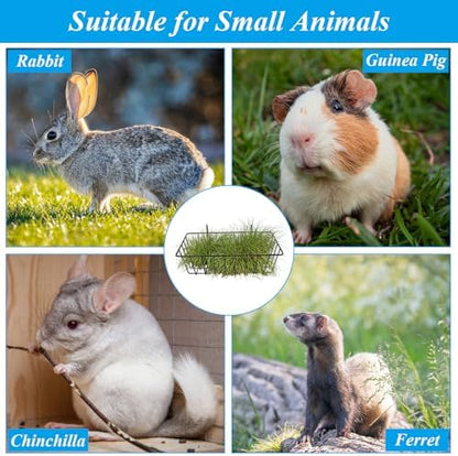 6 Pack Hay Feeder Rabbit with Hooks Heavy Duty, 9x4x3 Inch