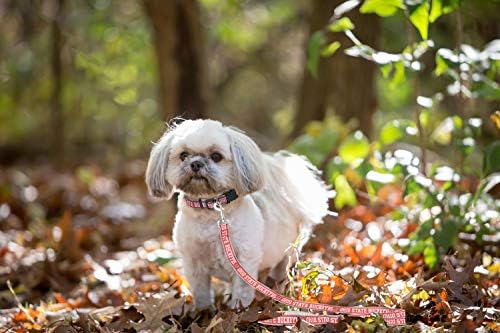 Pets First College Ohio State Buckeyes Pet Leash, Large