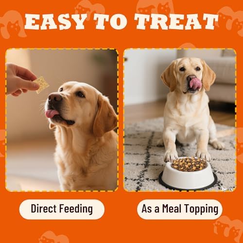 13.05oz Pumpkin Treats for Cats & Dogs with Egg Yolk Creamy Core