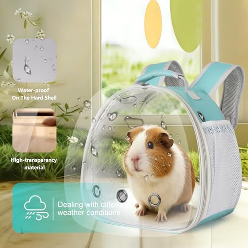 Guinea Pig Backpack, Space Capsule Bubble Window Small Animal Backpack for Guinea Pig, Bird Bunny Rat