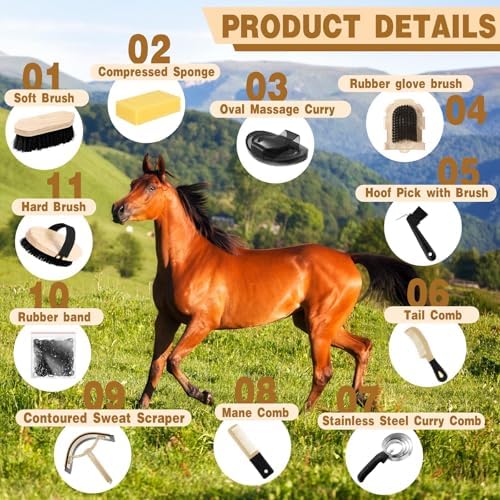 Abbylike 12 Pieces Horse Grooming Kit Equine Care Brushes, Black