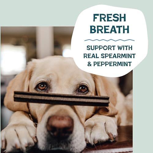 Shameless Pets Dental Chews for Dogs, Variety Pack, 4-Pack