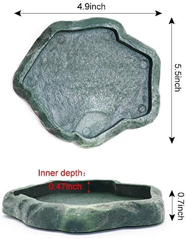 SLSON Small Reptile Feeder Terraium Bowl Plastic Shallow Reptile Feeder for Food and Water Feeding Dish for Lizard Gecko Junior Bearded Dragon,Small Green