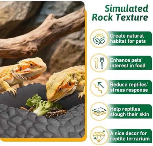 Reptile Water Dish Large Bearded Dragon Food Bowl, Rock Corner Water Dish for Reptiles Snake Water Bowl Feeding for Leopard Gecko Tortoise Lizard Tank Accessories, Terrarium Reptile Pool with Ramp