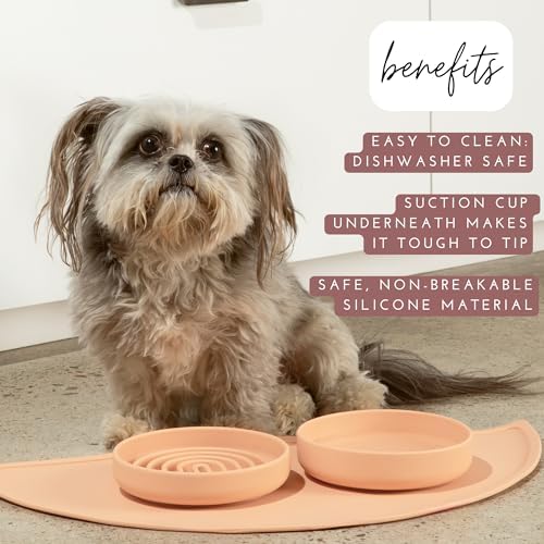 The Perfect Dish - Silicone Dog Bowl for Food & Water, 6" x 1.25"-Charcoal