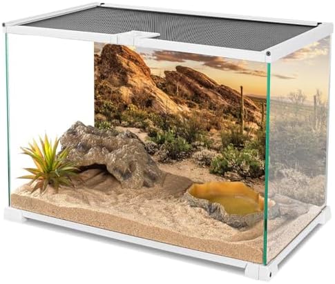 72x24 in Desert Reptile Habitat Backdrop Oasis Cactus Terrarium Background