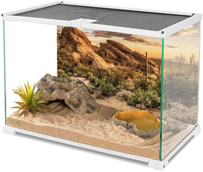 72x24 in Desert Reptile Habitat Backdrop Oasis Cactus Terrarium Background