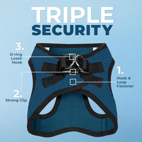 Best Pet Supplies Voyager Step-in Air All Weather Mesh Harness and Reflective Dog 5ft Leash Combo with Neoprene Handle, for Small, Medium and Large Breed Puppies - Blue/Black Trim, X-Large