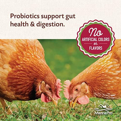 Manna Pro All Flock Crumbles with Probiotics, Chicken & Duck Food, 8 lb Bag
