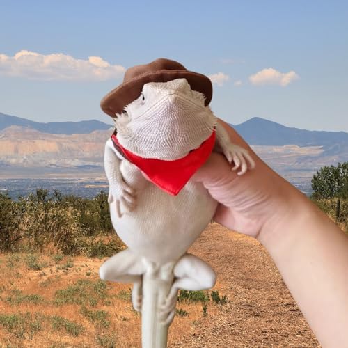 Bearded Dragon Cowboy Costume - Adjustable Lizard Cowboy Hat and Bandana Scarf Reptile Halloween Costume Photo Props for Gecko Chameleon Amphibians Ferret Hamster (Brown)