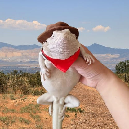 Bearded Dragon Cowboy Costume - Adjustable Lizard Cowboy Hat and Bandana Scarf Reptile Halloween Costume Photo Props for Gecko Chameleon Amphibians Ferret Hamster (Brown)
