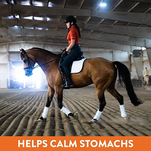 Plus Gastric Support Supplement for Horses with Omega 3s | Relieves Ulcers, Calming Supplement, Magnesium & Other Vital Minerals | Powder, 6 Pound Bag, 45-Day Supply | by Eagle Equine