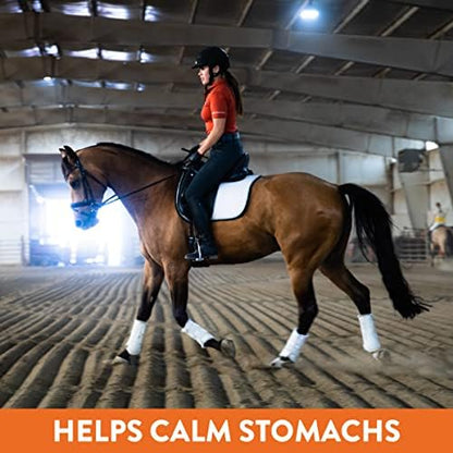 Plus- Gastric Support Supplement for Horses with Omega 3s | Relieves Ulcers, Calming Supplement, Magnesium & Other Vital Minerals | Powder, 20lb Bucket, 5-Month Supply | by Eagle Equine