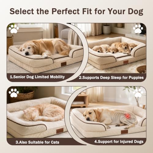 Orthopedic Memory Foam Dog Bed with Reusable Potty Pad