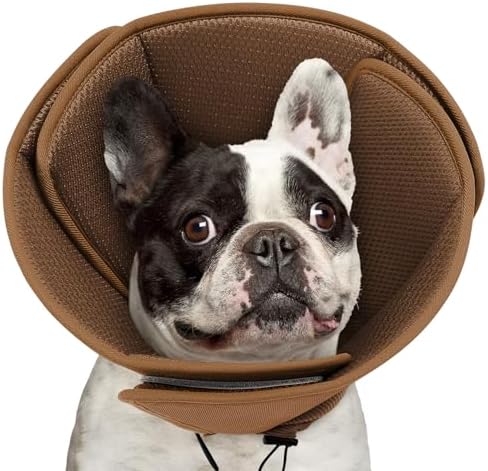 Queenmore Soft Recovery Cone for Small Dogs, Adjustable Comfy Dog Cone