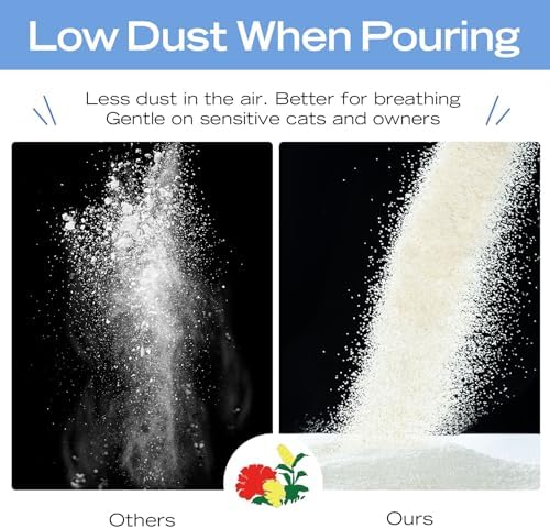 XuCuiHua Natural Cat Litter Unscented, 100% Plant-Based, Strong Clumping Litter, Easy Scooping, Clumps Lift Cleanly, Chemical-Free, Low Dust, Corn & Cassava Litter, 5.5 LB