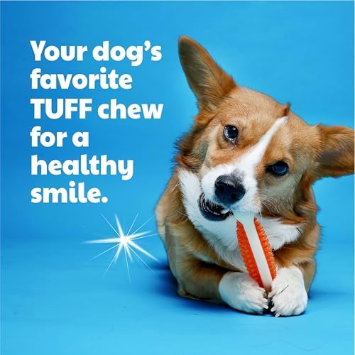 Hartz Chew 'n Clean Tuff Bone Bacon Scented Dental Dog Chew Toy - Large (Pack of 2)