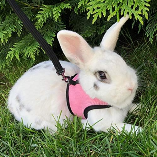 PETTOM Bunny Rabbit Guinea Pig Harness Stretchy Elastic Leash Cute Soft Mesh Small Pet Harness No Pull Comfort Outdoor Walking Jogging Padded Vest for Ferret Guinea Pig (Pink,L)