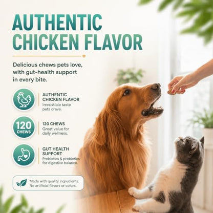 ZEBORA Probiotics for Dogs, Gut & Digestive Health, 120 Freeze-Dried Chews