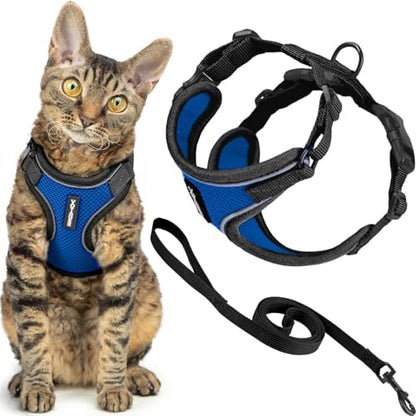 Voyager Escape-Proof Step-in Lock Cat Harness & 5ft Neoprene-Handle Leash Set All-Weather Mesh with Reflective Stitching for Small to Large Cats by Best Pet Supplies, Black Trim-Royal Blue (327), S
