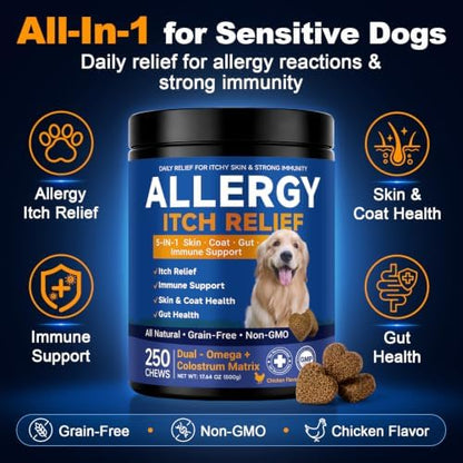 Dog Allergy Chews,is Omega 3 Human,Anti Itch Relief for Dogs Itching Skin Relief and Aller Immune Pet Multivitamin Allergy Chews Coat Licking Supplement Pills Meds Treats 250 Bites for Dogs