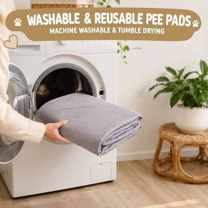 CoolShields Washable Pee Pads for Dogs, 72'' x 72'', Grey, 1 Pack