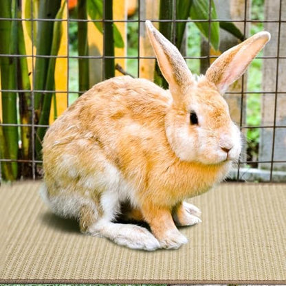 2Pcs Rabbit Scratch Mat,16 x 12 Inch Sisal Rabbit Scratching Pad