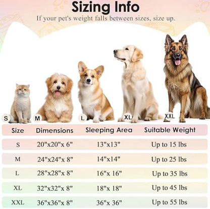 Hoewina Dog & Cat Bed, 20in Cat Beds for Indoor Cats (Rainbow)