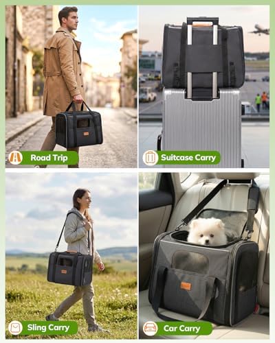 Morpilot Pet Carrier for Large Cats, Puppies & Small Dogs Up to 25lbs