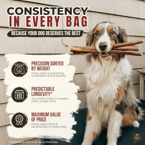 Bully Bunches Premium (6" Standard - 108 Pack) Odour-Free Bully Sticks for Small to Medium Dogs & Puppies - Long Lasting Chews for Oral Care - All Natural, Single Ingredient Beef Dog Treat, No Rawhide
