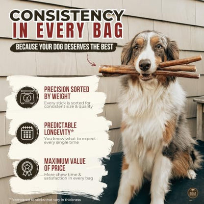 Bully Bunches Premium (6" Standard - 108 Pack) Odour-Free Bully Sticks for Small to Medium Dogs & Puppies - Long Lasting Chews for Oral Care - All Natural, Single Ingredient Beef Dog Treat, No Rawhide