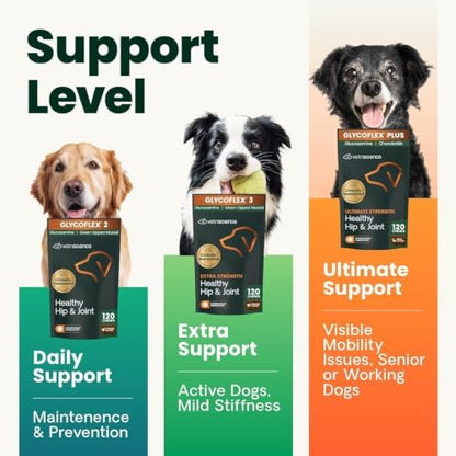 VetriScience Healthy Hip and Joint Tablets for Dogs, 2 Pack