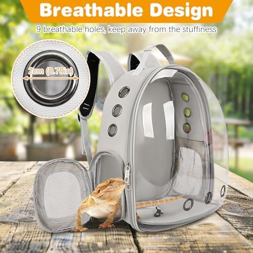 kathson Bearded Dragon Carrier with Harness and Leash Set, Large Reptile Travel Carrier Portable Lizard Backpack Clear Small Animals Carrying Bag for Gecko Hamster Rabbit Hedgehog Kitten (Gray)