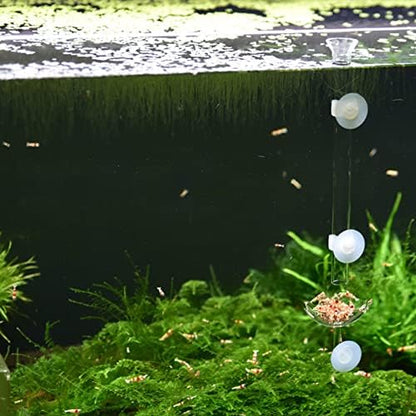 Bilindasly Acrylic Shrimp Feeding Dish Floral Shrimp Bowl Aquarium Transparent Feeder Container with Suction Cup for Aquarium Fish Tank
