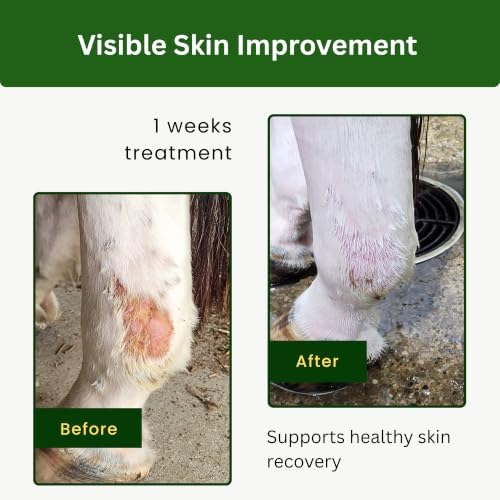 3 Day Defense Cream for Horses – 72 Hour Waterproof Skin Barrier for Itching, Scratching, Wounds, Rain Rot & Mud Fever