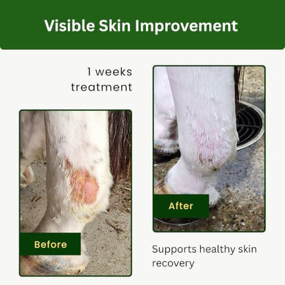 3 Day Defense Cream for Horses – 72 Hour Waterproof Skin Barrier for Itching, Scratching, Wounds, Rain Rot & Mud Fever