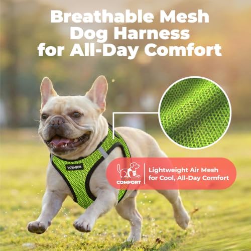 Voyager Step-in Air Dog Vest Harness - Lime Green 2-Tone, Large