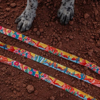 Wolfgang Heavy Duty Dog Leash, Pull-Tested to Over 800 lbs for Walking & Training, PackLeader Print, Dual-Handle Large