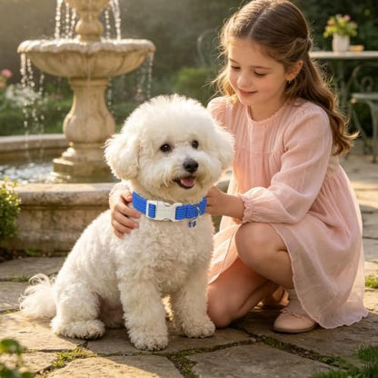 DOGWONG Blue Dog Collar, Cute Blue Striped Dog Collar,Adjustable Girl Boy Dogs Collars for X-Small Puppies Dogs, Neck 8-12 inches