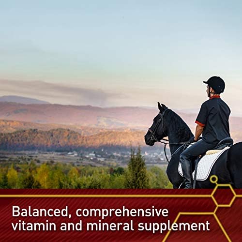 Vita Flex Pro Accel Health & Wellness, Horse Supplement, 240-Day Supply