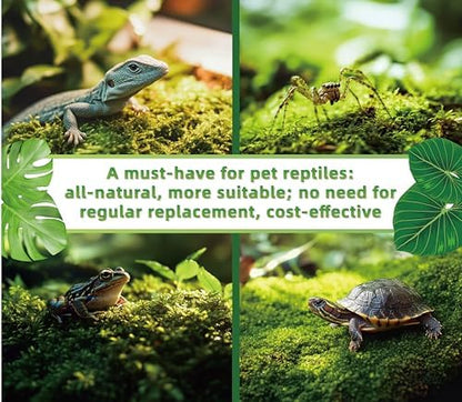 LUCKYRUNES Live Moss for Terrarium Bedding & Reptile Enclosures