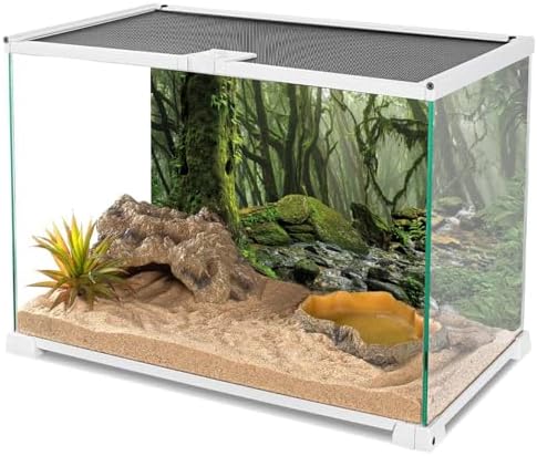 36x18 in Terrarium Backdrop Foggy Forest Stream Reptile Habitat Background