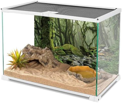 72x18 in Terrarium Backdrop Foggy Forest Stream Reptile Habitat Background