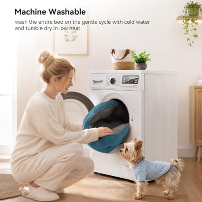 Asvin Small Dog Bed for Small Dogs, Cat Beds for Indoor Cats, Pet Bed for Puppy and Kitty, Extra Soft & Machine Washable with Anti-Slip & Water-Resistant Oxford Bottom, Teal, 20 inches