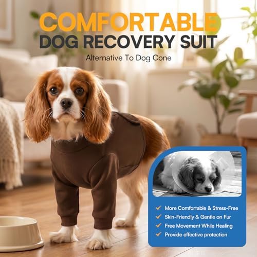 Queenmore Recovery Sleeve for Dogs Front Leg, Dog Recovery Sleeves, Dog Surgical Recovery Suit Female, Pet Elbow Protector Cone Collar Alternatives, Brown, XS