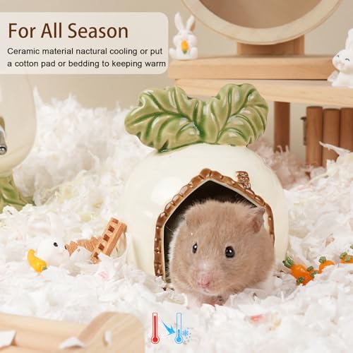 Ceramic Hamster Hideout Carrot Chew Proof Syrian Hide Cool Bed