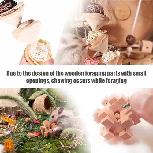Hamster Toys for Hamster, Gerbils, Mice, Rats - Natural Wood Chew Toys for Small Animals, Syrian & Dwarf Hamster Cage Accessories to Relieve Boredom, Promote Molar Teeth Grinding & Reduce