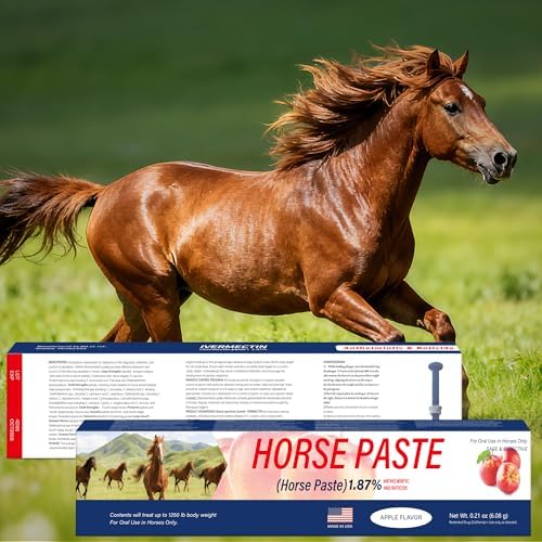 6 Pack (6.08g) Apple Flavored Oral Paste for Horses
